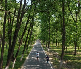 kaiyun-万亩林海藏“神仙赛道”，民权马拉松绘就城市新画卷